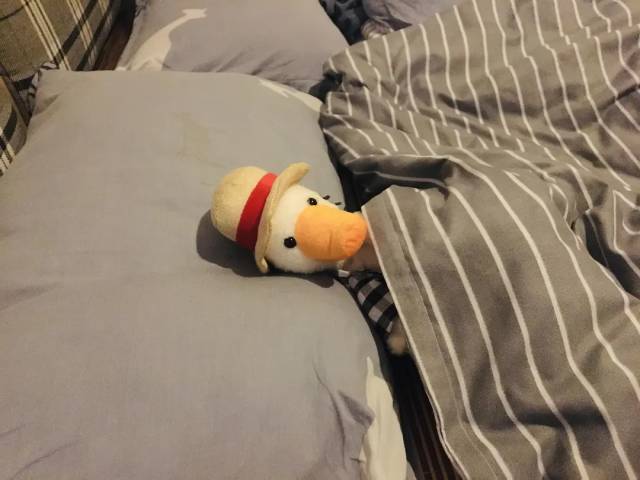 93年生的李嗨森：四年不工作，我活得更好了